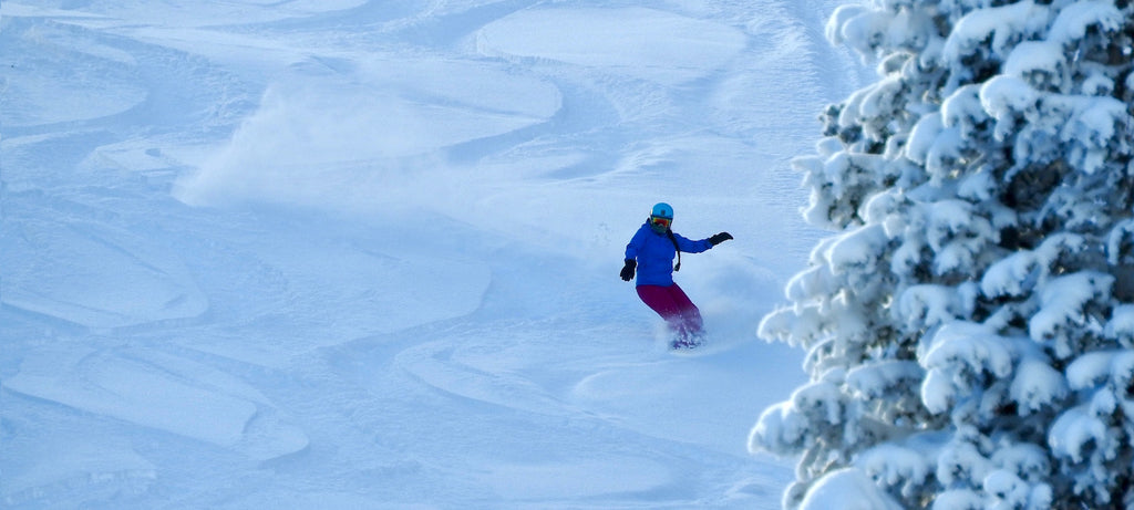 SheShreds Q&A - Sara Wayman at Powder Mountain