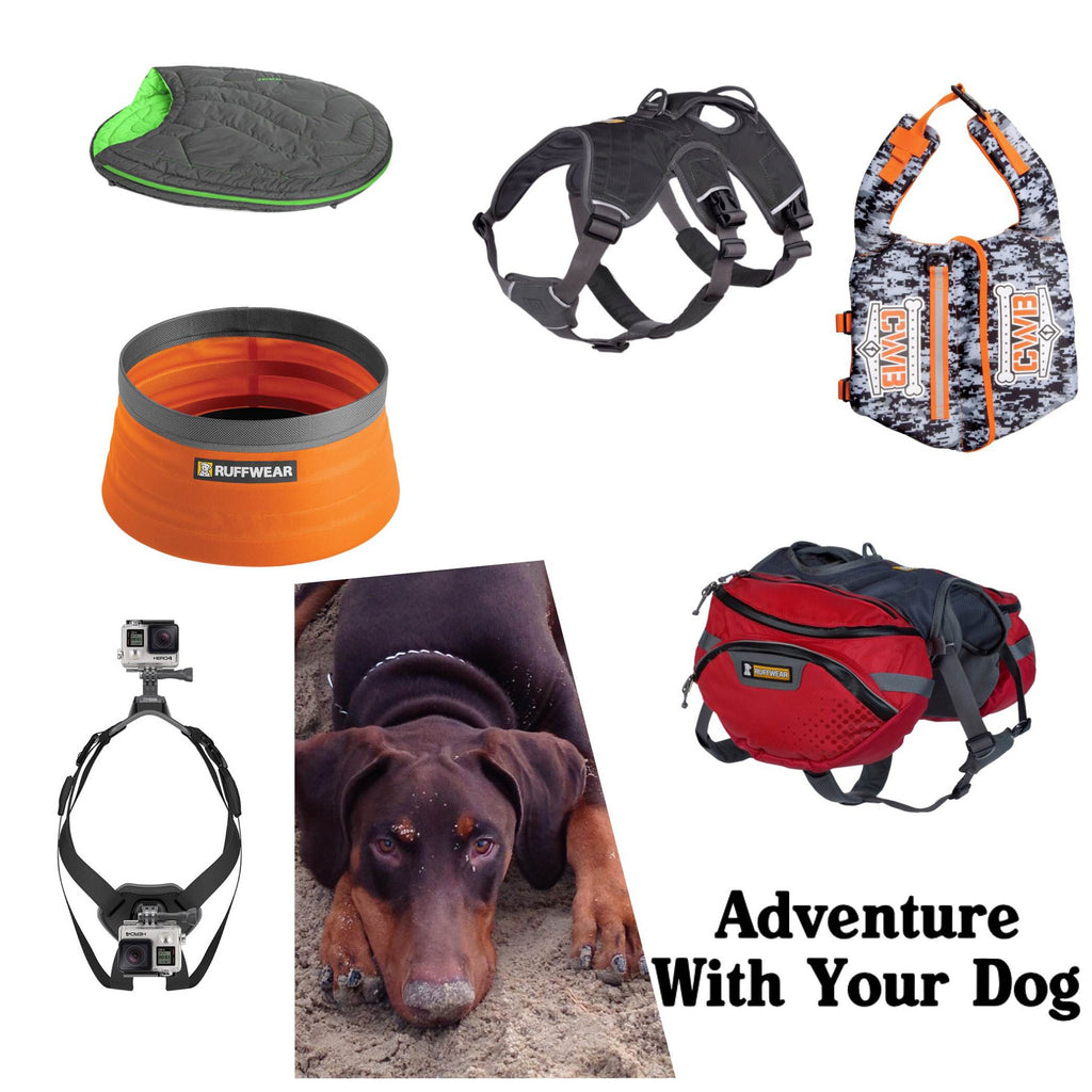 Gear Guide: Accessories for Outside Adventures With Your Dog